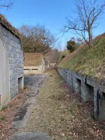 小島の写真・動画_image_1042789