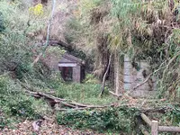 小島の写真・動画_image_1042793