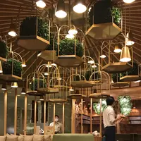 猫カフェ MoCHA（モカ）秋葉原店の写真・動画_image_1044482