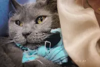 つくばわんわんランドの写真・動画_image_1044584