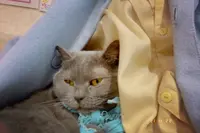 つくばわんわんランドの写真・動画_image_1044585
