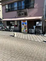 名代伊勢うどん　山口屋の写真・動画_image_1048062