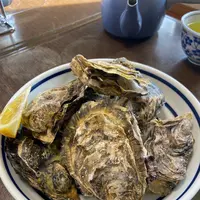 海鮮料理 磯の写真・動画_image_1055726