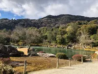 天龍寺の写真・動画_image_1065550