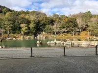 天龍寺の写真・動画_image_1065551