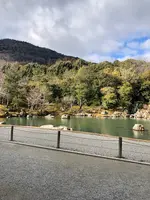 天龍寺の写真・動画_image_1065554