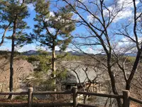 天龍寺の写真・動画_image_1065555