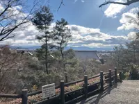 天龍寺の写真・動画_image_1065556