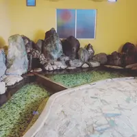 大洞窟の宿 湯楽亭の写真・動画_image_1074135