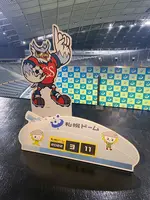 札幌ドームの写真・動画_image_1074510