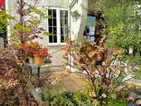 ごちそうカフェ うかたまの写真・動画_image_1080464