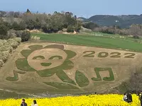 あわじ花さじきの写真・動画_image_1082278