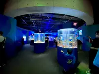 鴨川シーワールドの写真・動画_image_1083897