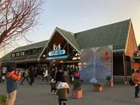 マザー牧場の写真・動画_image_1084004