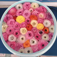 砥部焼陶芸館の写真・動画_image_1084244