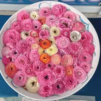 砥部焼陶芸館の写真・動画_image_1084245