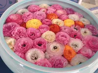砥部焼陶芸館の写真・動画_image_1084246