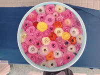 砥部焼陶芸館の写真・動画_image_1084247