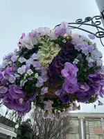 上野恩賜公園（上野公園）の写真・動画_image_1084895