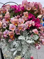 上野恩賜公園（上野公園）の写真・動画_image_1084896
