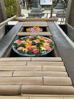 上野恩賜公園（上野公園）の写真・動画_image_1084898