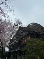 上野恩賜公園（上野公園）の写真・動画_image_1084906