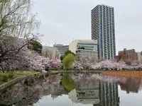上野恩賜公園（上野公園）の写真・動画_image_1084911