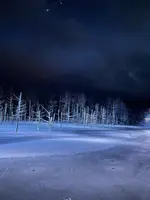 白金青い池の写真・動画_image_1085532