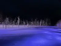白金青い池の写真・動画_image_1085533