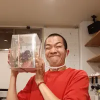 カフェバー ティーパーティーの写真・動画_image_1087532