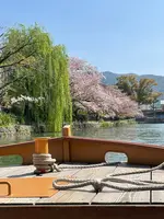 岡崎疏水の写真・動画_image_1090583