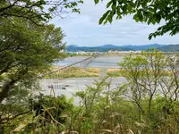 蓬莱橋の写真・動画_image_1092718