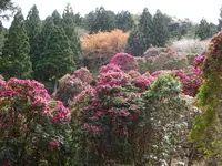 天城グリーンガーデンの写真・動画_image_1093853