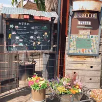 boiboi-pizza ボイボイピッツァ【ランチ/ピザ/中川区】の写真・動画_image_1106620