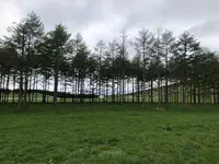 モエレ沼公園の写真・動画_image_1106695