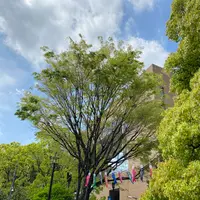清澄庭園の写真・動画_image_1106783