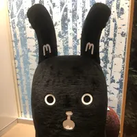 札幌もいわ山ロープウェイの写真・動画_image_1108072
