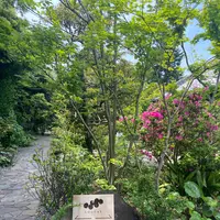 タケルクインディチLOQUAT西伊豆店の写真・動画_image_1109110