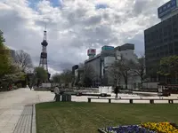 大通公園の写真・動画_image_1109248