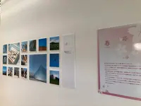 ガラスのピラミッドの写真・動画_image_1109250
