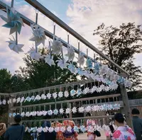 川越氷川神社の写真・動画_image_1110059
