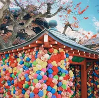 八坂庚申堂の写真・動画_image_1110080