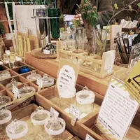 リカシツの写真・動画_image_1110157