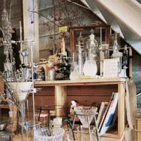 リカシツの写真・動画_image_1110158