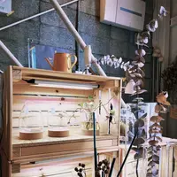 リカシツの写真・動画_image_1110159