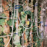 リカシツの写真・動画_image_1110160