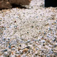 ニフレルの写真・動画_image_1110209