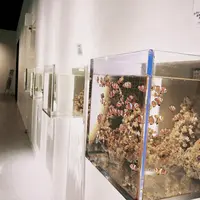 ニフレルの写真・動画_image_1110215