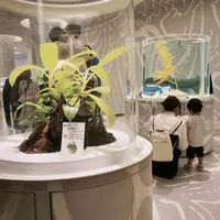 ニフレルの写真・動画_image_1110218