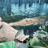 ニフレルの写真・動画_image_1110223